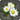 White daisy corsage icon1.png
