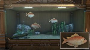 Three Redcoats in a Tier 4 Aquarium with a close-up.