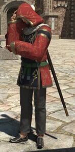 Elvaan Adventurer