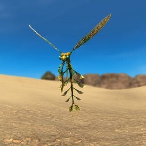 Damselfly Glamoured