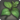 Persimmon leaf icon1.png
