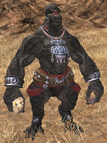 File:Amalj'aa Shaman.jpg
