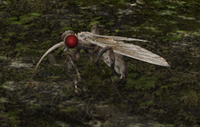 Feather Flea Enemy.png