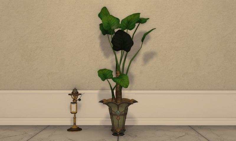 File:Potted Oliphant's Ear Full.png