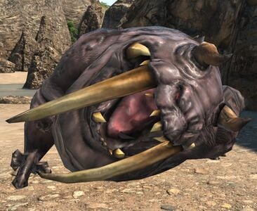 Gyuki Carcass