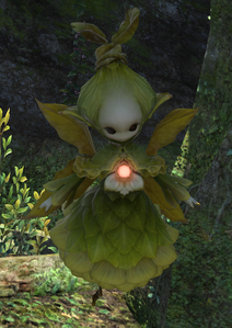 Tonaxia