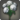 White hydrangeas icon1.png