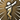 Black Ranger Pose A