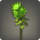 Green chrysanthemums icon1.png