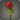 Red chrysanthemums icon1.png