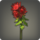 Red chrysanthemums icon1.png