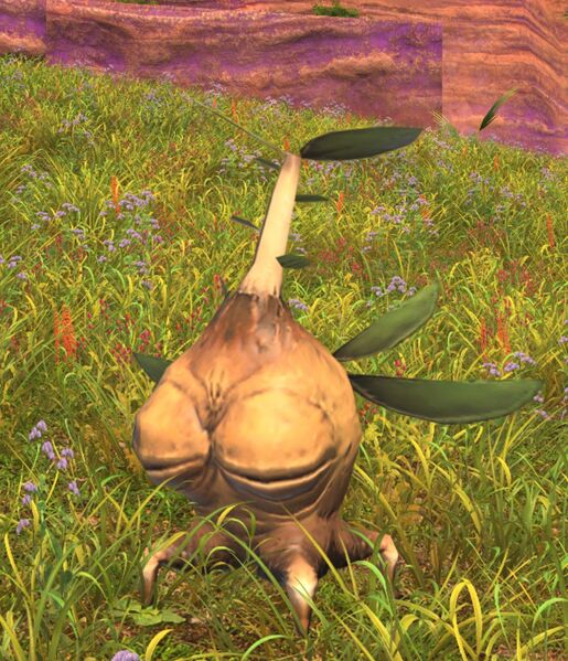 File:Aromatic Sapling.jpg