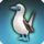 Blue-footed booby icon2.png