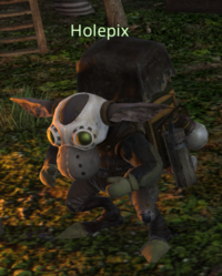 HOLEPIX.png