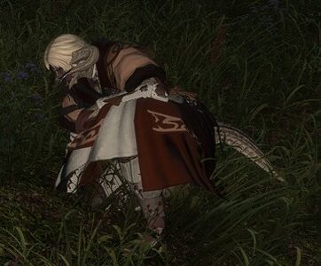 Injured Alchemist