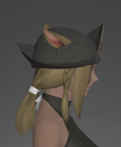 Hat of the Divine Light right side.png