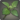 Young leaf icon1.png