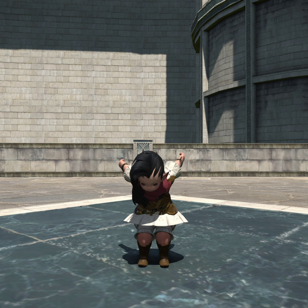 File:Backflip 1 Emote.png