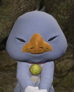 Curious Costume with a Chocobo hat