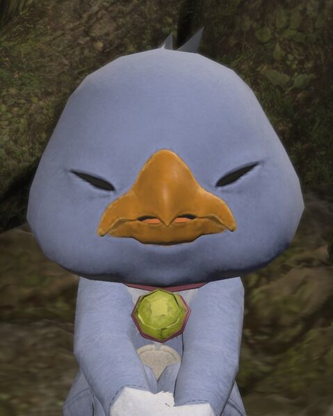 File:Curious Costume (Chocobo).jpg