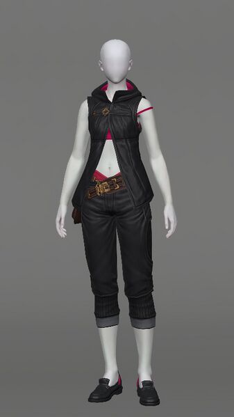 File:Fireglass Leather Set Female.jpeg