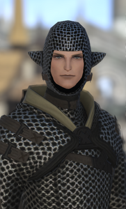 House Fortemps Knight (NPC)