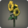 Yellow sunflowers icon1.png