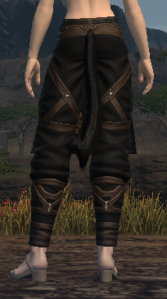 Allagan Breeches of Casting back.png