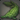 Topiary Gar